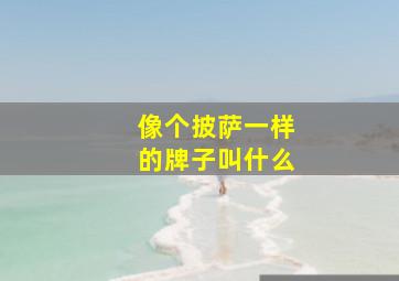 像个披萨一样的牌子叫什么