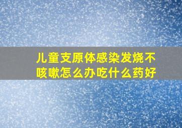 儿童支原体感染发烧不咳嗽怎么办吃什么药好