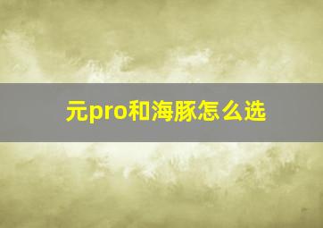 元pro和海豚怎么选