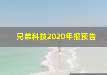 兄弟科技2020年报预告