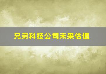 兄弟科技公司未来估值