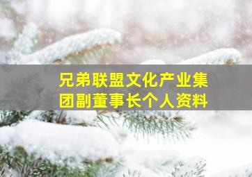 兄弟联盟文化产业集团副董事长个人资料