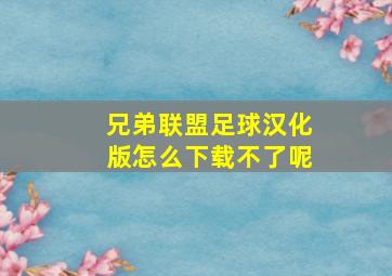 兄弟联盟足球汉化版怎么下载不了呢