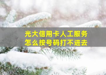 光大信用卡人工服务怎么按号码打不进去