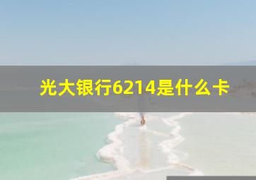 光大银行6214是什么卡