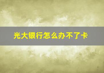 光大银行怎么办不了卡