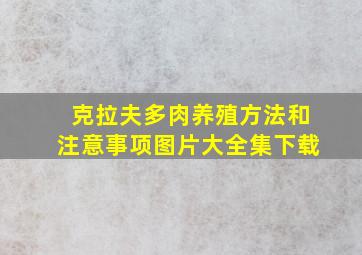 克拉夫多肉养殖方法和注意事项图片大全集下载