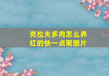 克拉夫多肉怎么养红的快一点呢图片