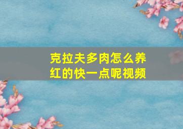 克拉夫多肉怎么养红的快一点呢视频