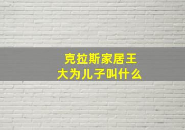 克拉斯家居王大为儿子叫什么