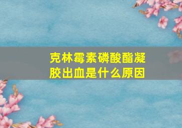 克林霉素磷酸酯凝胶出血是什么原因