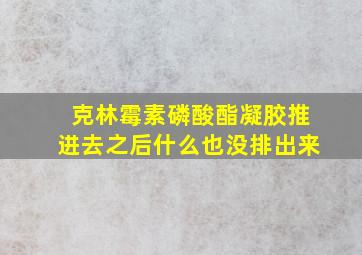 克林霉素磷酸酯凝胶推进去之后什么也没排出来