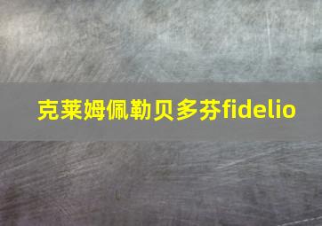 克莱姆佩勒贝多芬fidelio