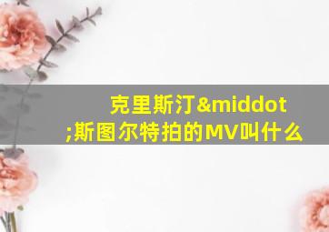 克里斯汀·斯图尔特拍的MV叫什么