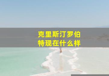 克里斯汀罗伯特现在什么样