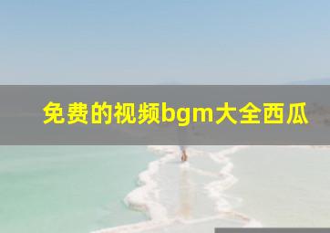 免费的视频bgm大全西瓜