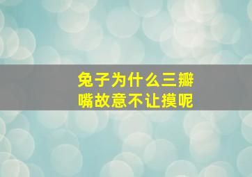 兔子为什么三瓣嘴故意不让摸呢