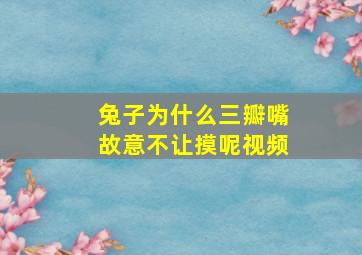 兔子为什么三瓣嘴故意不让摸呢视频