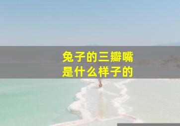 兔子的三瓣嘴是什么样子的