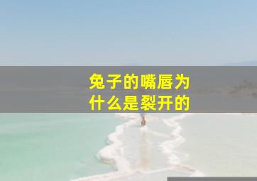 兔子的嘴唇为什么是裂开的