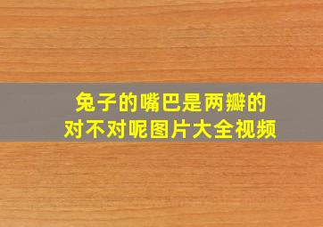 兔子的嘴巴是两瓣的对不对呢图片大全视频