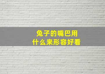 兔子的嘴巴用什么来形容好看