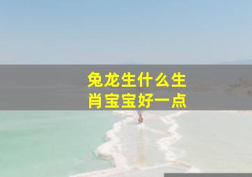 兔龙生什么生肖宝宝好一点