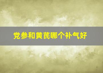 党参和黄芪哪个补气好