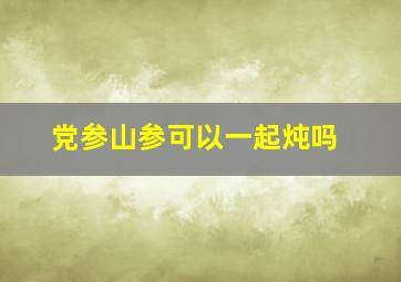 党参山参可以一起炖吗