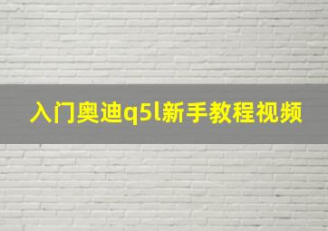 入门奥迪q5l新手教程视频