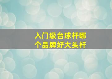 入门级台球杆哪个品牌好大头杆