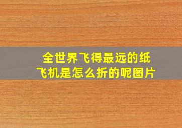 全世界飞得最远的纸飞机是怎么折的呢图片