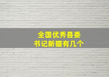 全国优秀县委书记新疆有几个