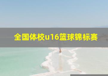 全国体校u16篮球锦标赛