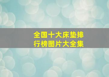 全国十大床垫排行榜图片大全集