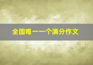 全国唯一一个满分作文