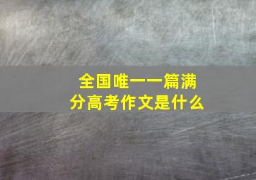 全国唯一一篇满分高考作文是什么