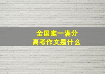 全国唯一满分高考作文是什么