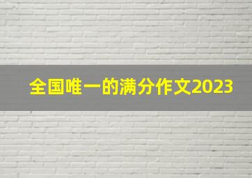 全国唯一的满分作文2023