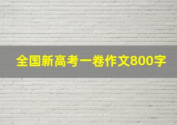 全国新高考一卷作文800字