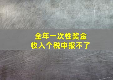 全年一次性奖金收入个税申报不了