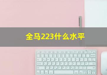 全马223什么水平