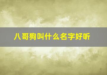 八哥狗叫什么名字好听