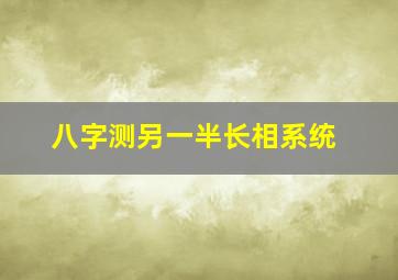 八字测另一半长相系统