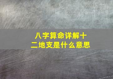 八字算命详解十二地支是什么意思