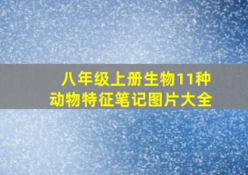 八年级上册生物11种动物特征笔记图片大全