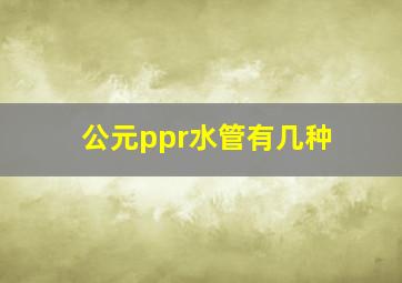 公元ppr水管有几种