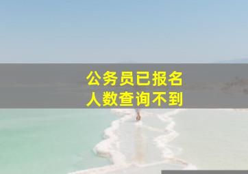 公务员已报名人数查询不到