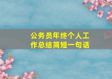 公务员年终个人工作总结简短一句话