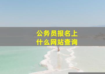 公务员报名上什么网站查询